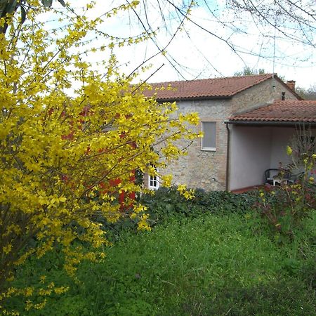 Agriturismo La Selva Siena Exterior photo