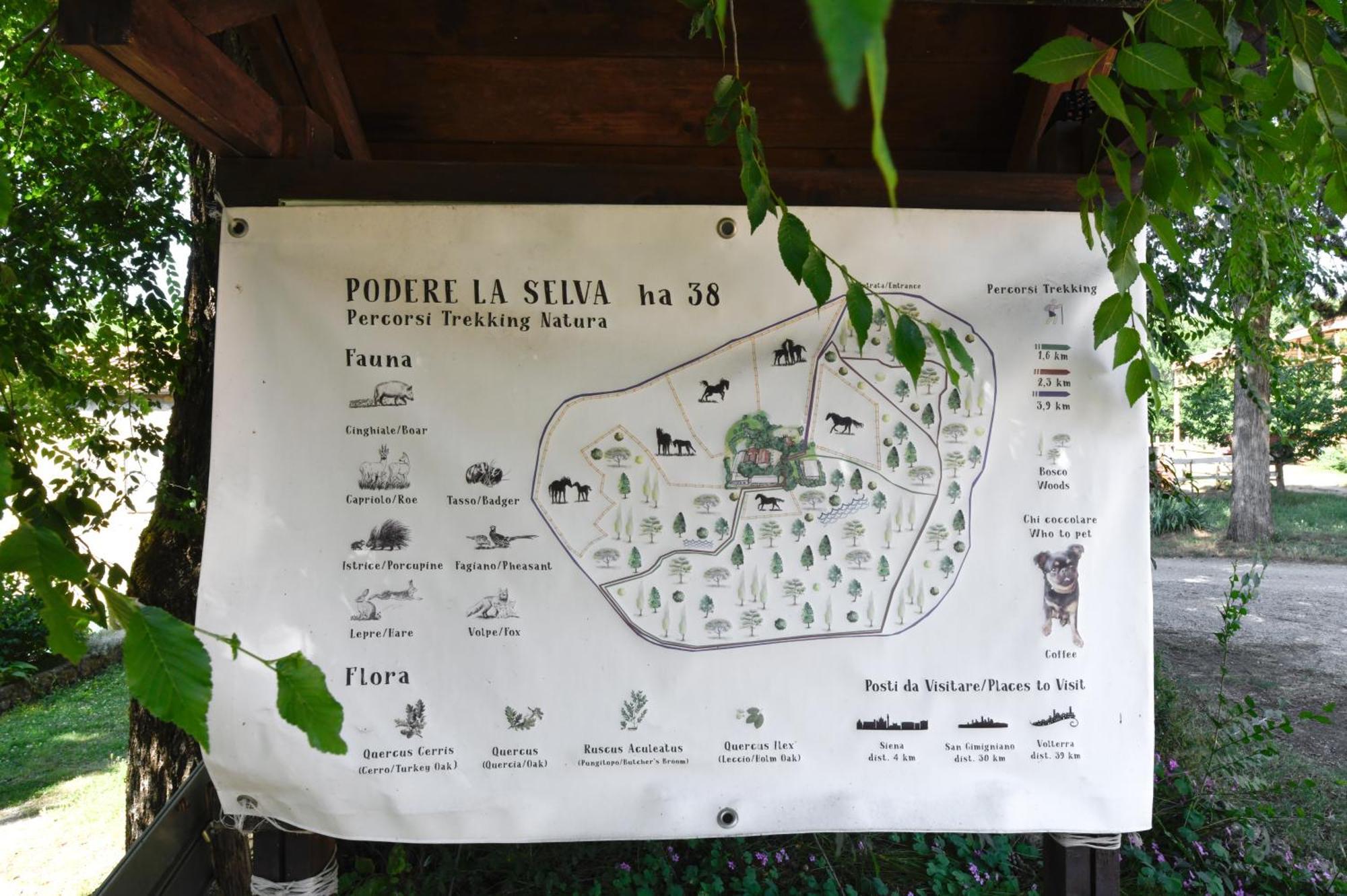 Agriturismo La Selva Siena Exterior photo