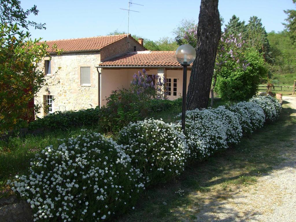 Agriturismo La Selva Siena Exterior photo