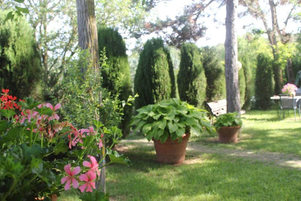 Agriturismo La Selva Siena Exterior photo