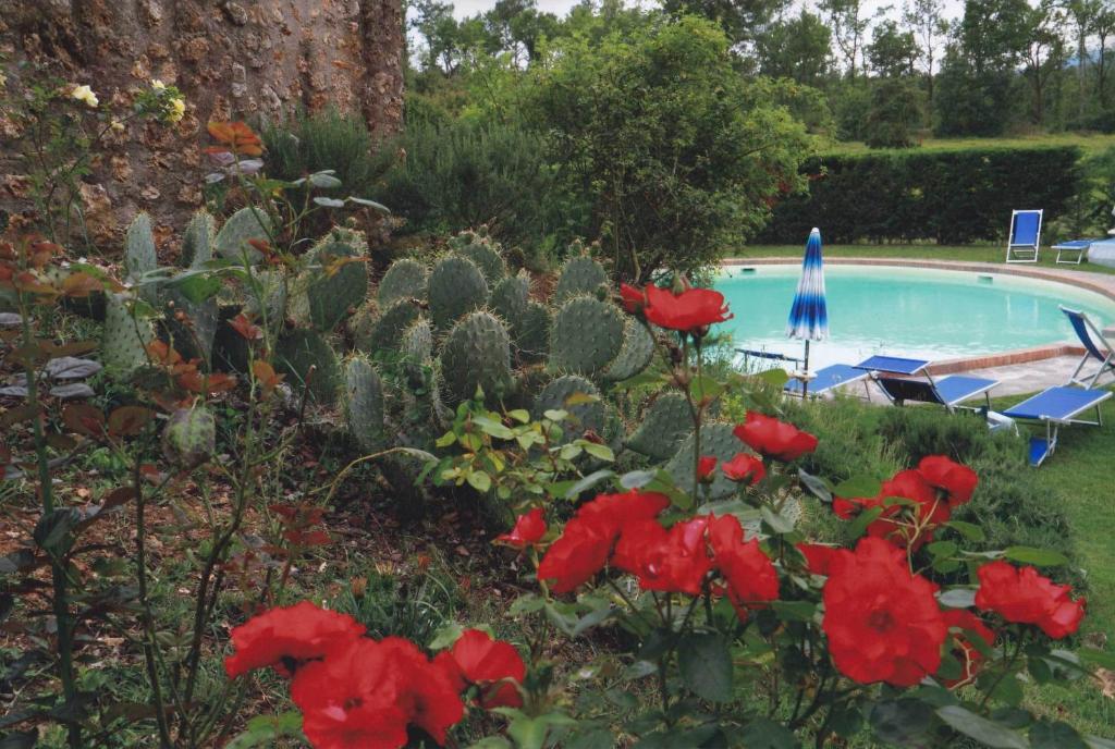 Agriturismo La Selva Siena Exterior photo
