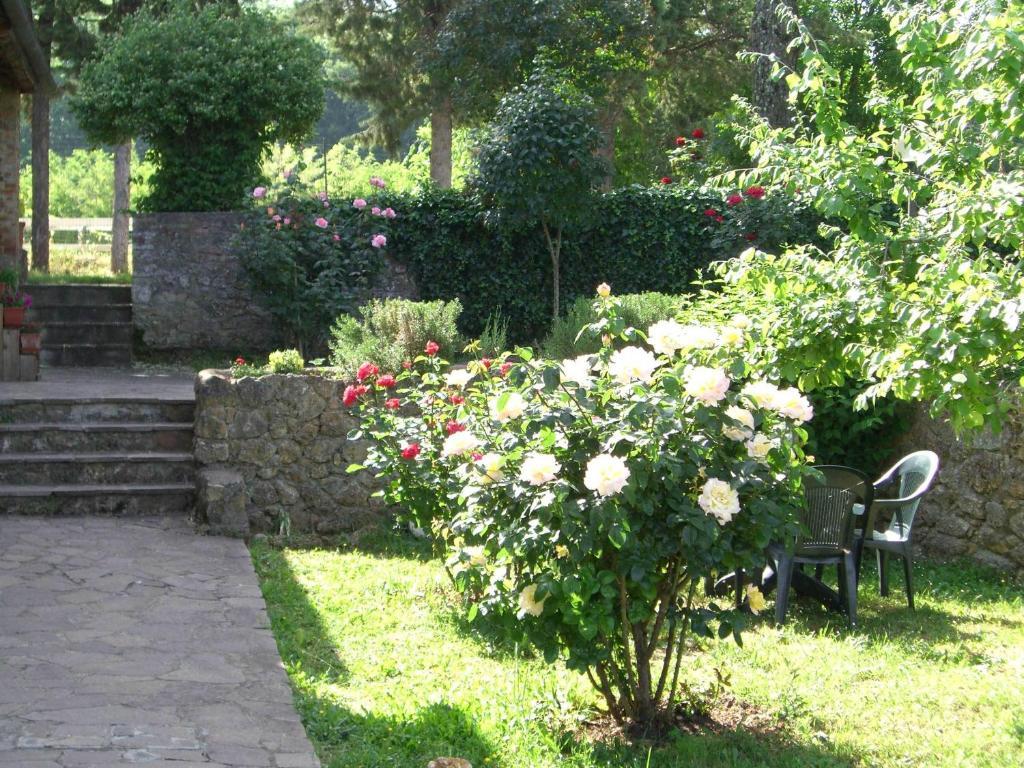 Agriturismo La Selva Siena Exterior photo